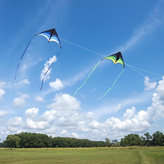 Mint's Colorful Life Delta Kite - Image 6