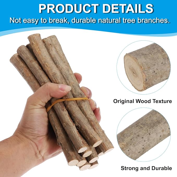 PATIKIL 8 Pcs / 10cm Wood Log Sticks, 0.6-1.2inch in Diameter Natural Driftwood - Image 3