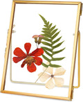 REDHUGO Glass Pressed Flower Frame Handmade, Floating Picture Frames by REDHUGO