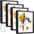 4 Pack 5 x 7in Shadow Box Frame, Shadow Boxes Display Cases by IWOLOMI