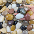 FANTIAN 5 lbs River Rocks Pebbles by FANTIAN-GardeningMakesLifeBetter