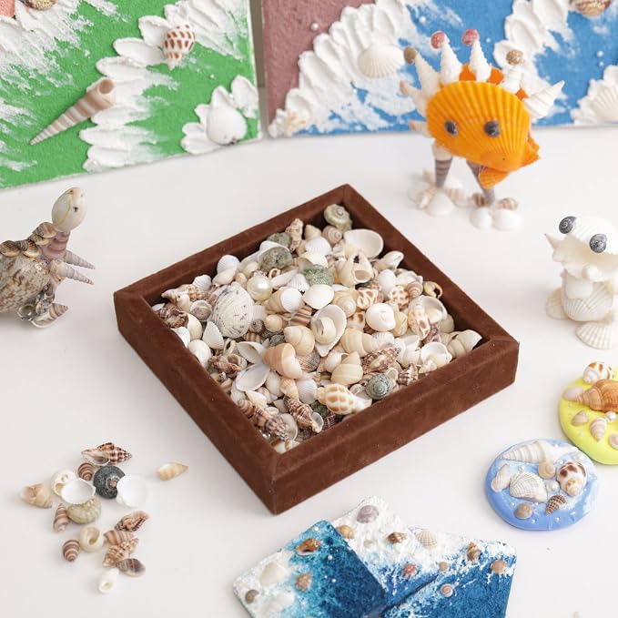 JSPYFITS 1200 PCS Sea Shells Small Mixed Beach Snail Seashells - Image 2