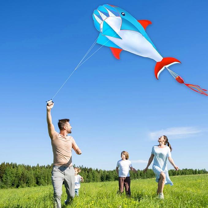 HENGDA KITE 3D Kite for Kids and Adults, Excellent Fabric and Structure - Image 7