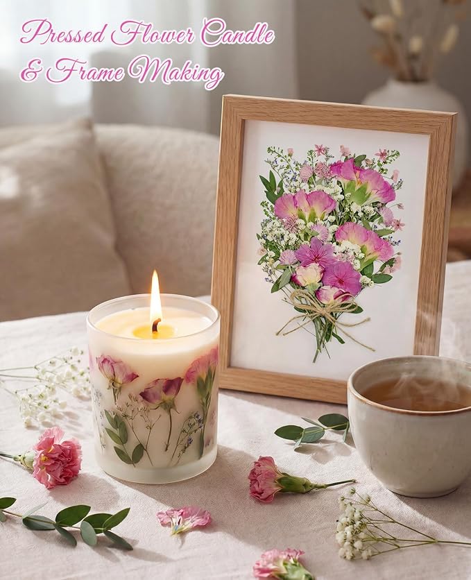 10+ Types Dried Pressed Flowers - Image 5