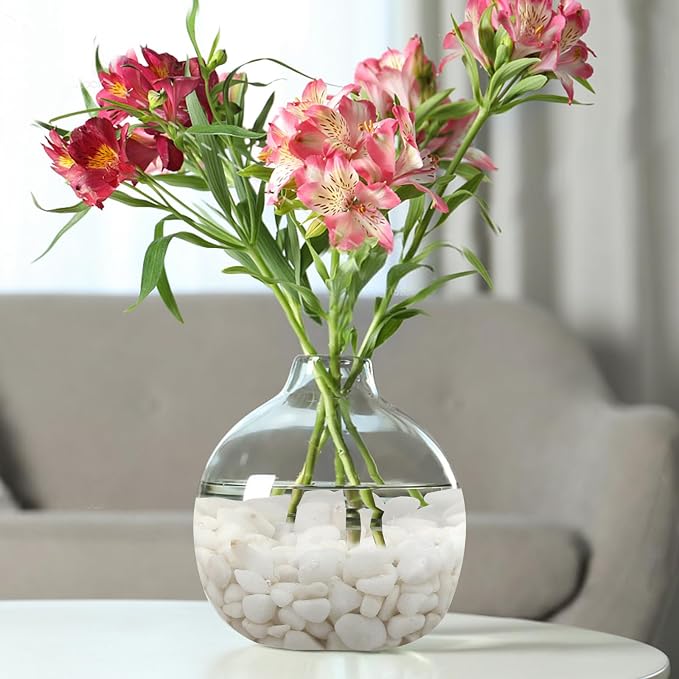 FANTIAN White Pebbles for Indoor Plants, 3/8 Inch Decorative White Stones. - Image 5