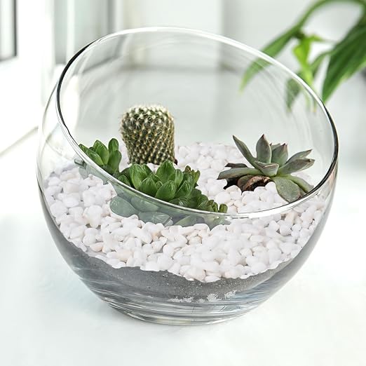 Pulovin 5 lbs White Aquarium Gravel, 1/5 Inch White Rocks - Image 6