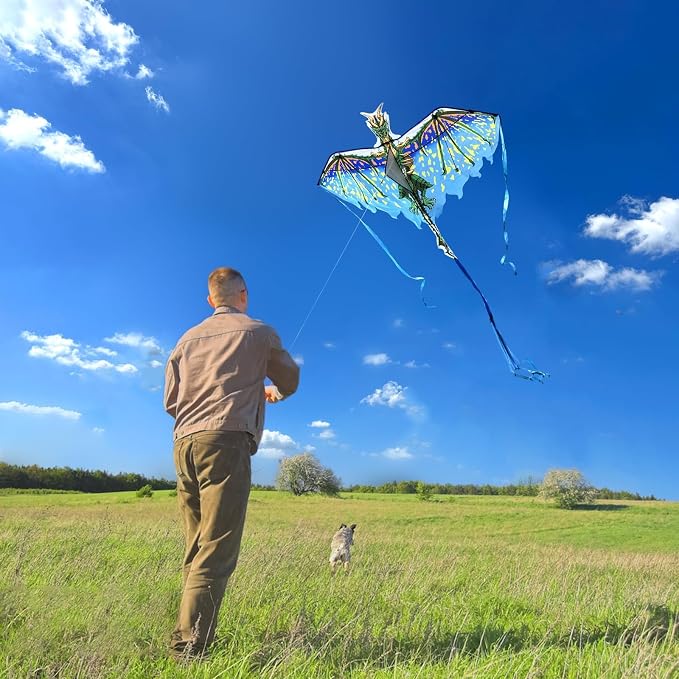 Dragon Kite for Kids & Adults - Image 2