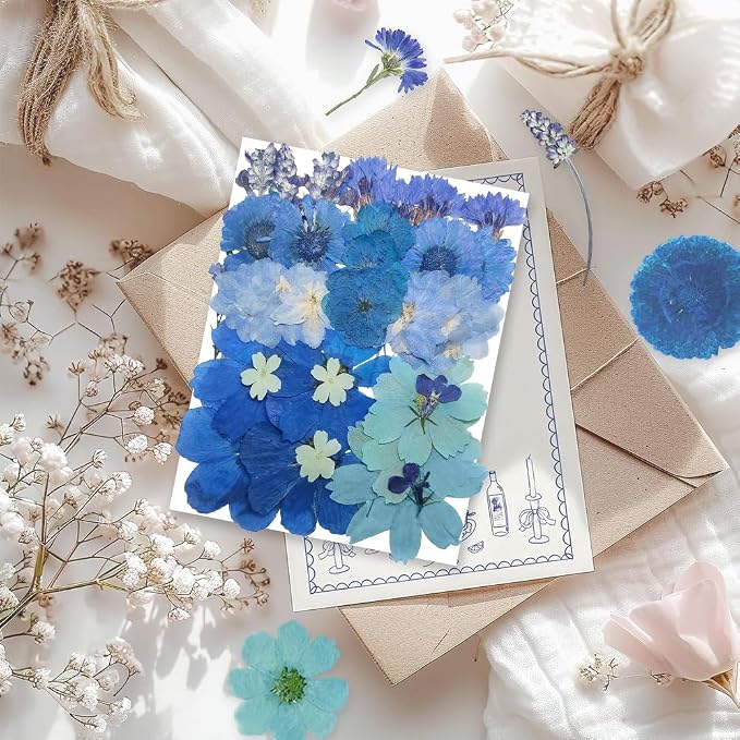 10 Types 33PCS Large Blue Dried Pressed Flower - Image 3
