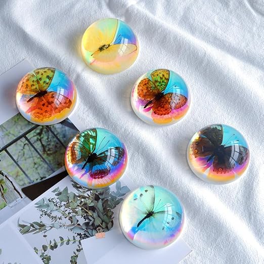 Real Butterfly Specimens, Resin Insect Specimens, Educational Bugs Specimen Set - Image 3