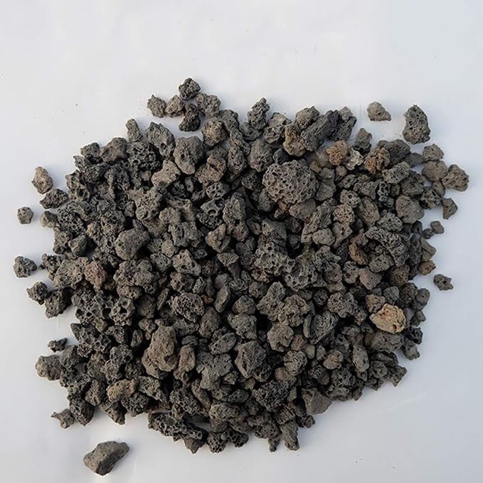 TOYPOPOR 6lb Black Lava Rock for Plants, Natural Horticultural Volcanic Grit - Image 2