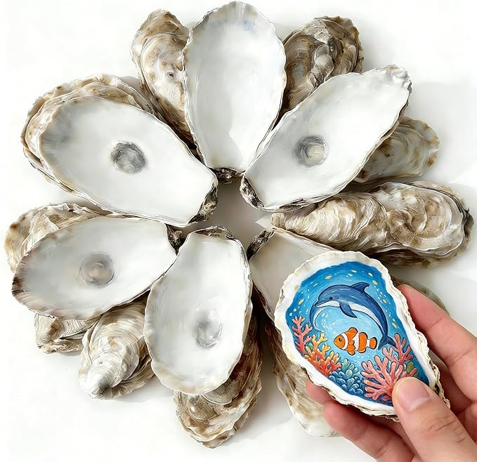 30Pcs Oyster Shells for Crafts 3"- 4" Natural Oyster Shells for DIY Crafting by Unknown