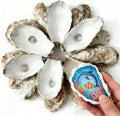 30Pcs Oyster Shells for Crafts 3"- 4" Natural Oyster Shells for DIY Crafting by Unknown