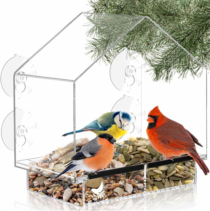 Window Bird Feeder with Strong Suction Cups, Balcony Glass Mount, Acrylic Cat by NaturesHangout