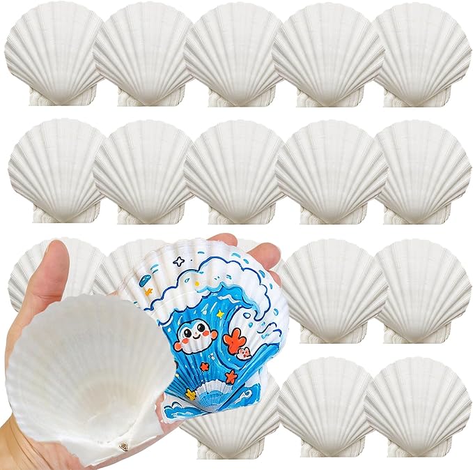 20 PCS Natural Scallop Shells for Crafts, 3-4 inches White Seashells for DIY by DOODLEBEAN
