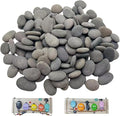 CYLHCM 100PCS Tiny Painting Rocks, DIY Pebble by Unknown