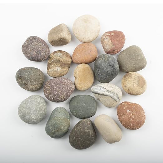 20 LBS River Rocks for Plants - Image 3