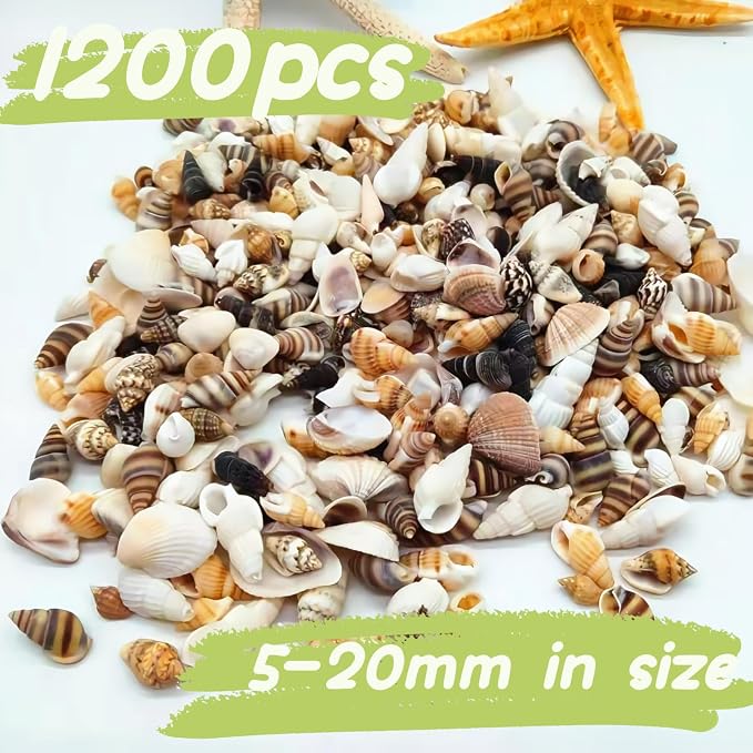 1200 PCS Tiny Sea Shells &10 Small Starfish - Image 5