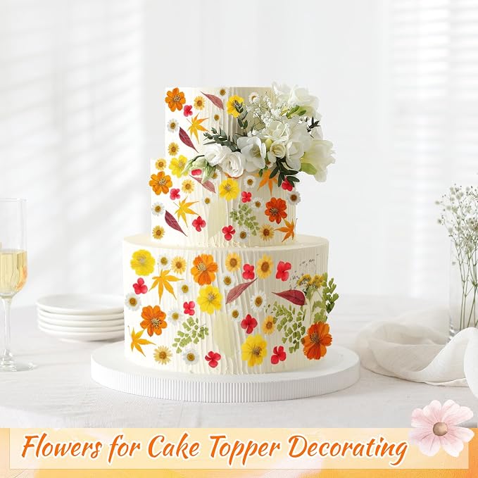 96 Pcs Natural Dried Pressed Flowers - Image 2