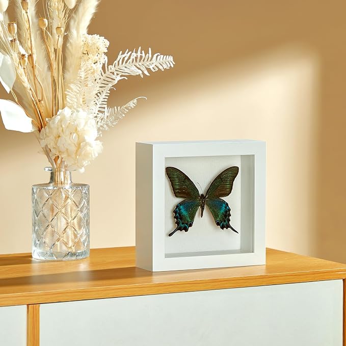 5x5 Small Shadow Box Picture Frame - Image 7