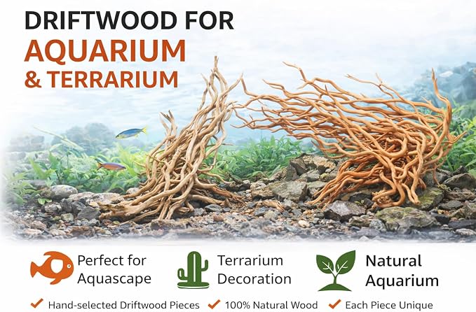 Azil Natural Aquarium Driftwood Root – Driftwood - Image 4