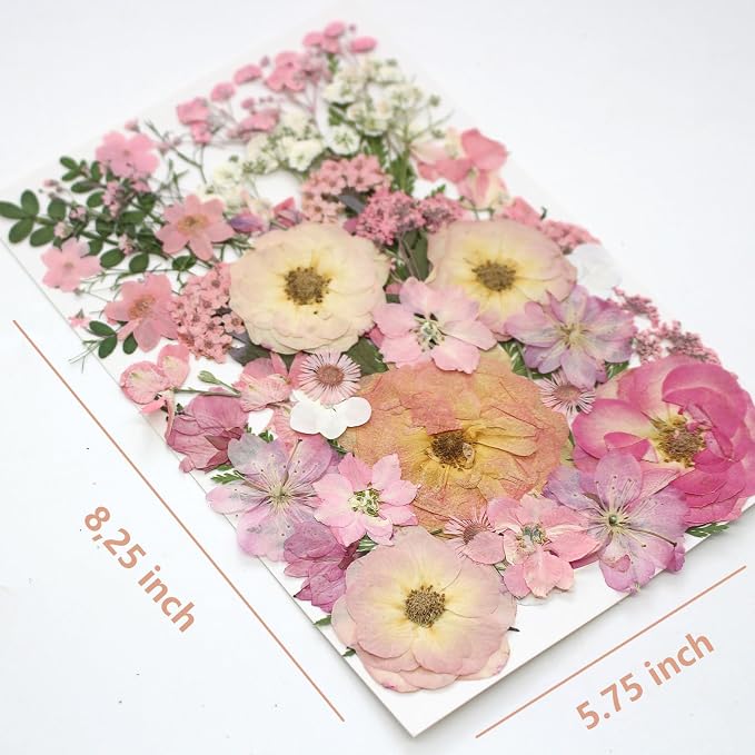 AHTONG 14 Types Pink Dried Pressed Flowers - Image 2