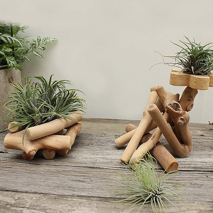20pcs Y-Shaped Irregular Driftwood - Image 6