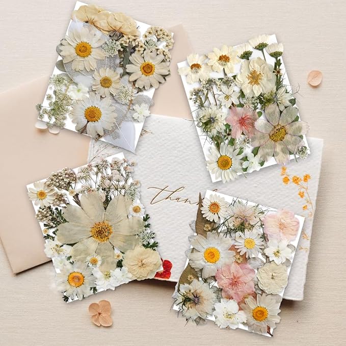 140PCS White Dried Pressed Flowers - Image 2