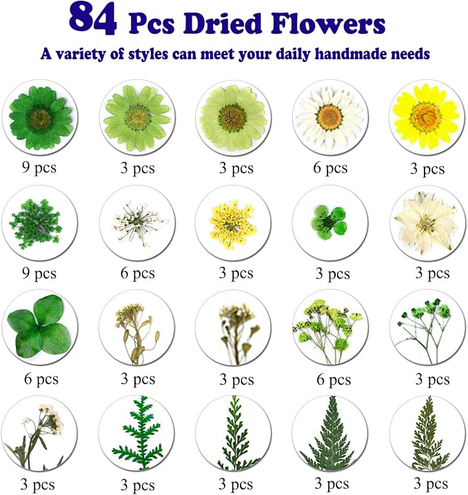84 Pcs Green Dried Pressed Flowers Real Natural Leave - Image 4