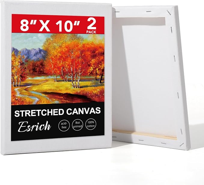 ESRICH Stretched Canvas for Painting, 2 Pack 8x10 Canvas Value Pack, Primed by ESRICH