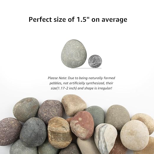 20 LBS River Rocks for Plants - Image 2