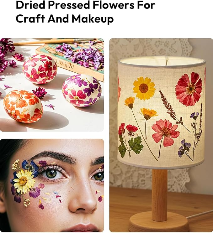 Dried Flowers, Resiners 100Pcs Pressed Flowers - Image 8