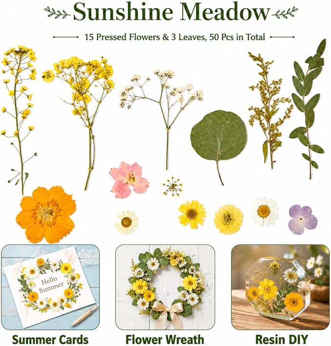 Dried Pressed Flowers for Resin, Scrapbooking, Soap Candle Making, DIY - Image 4