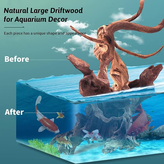 Hamiledyi 2 Pcs Large Driftwood - Image 6