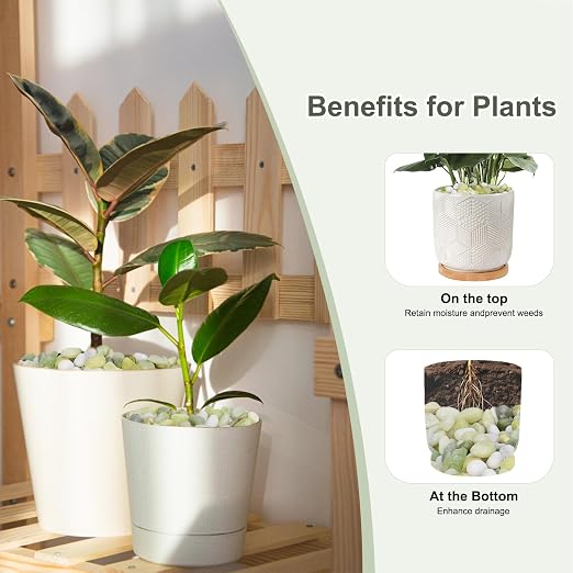 Pulovin 5 lbs Jade Pebbles for Indoor Plants, Decorative Pebbles for Bamboo - Image 3