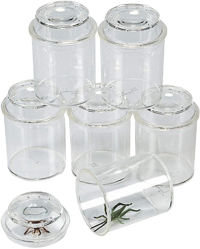 Fun Express See-Through Bug Box Jars – Set by FunExpress
