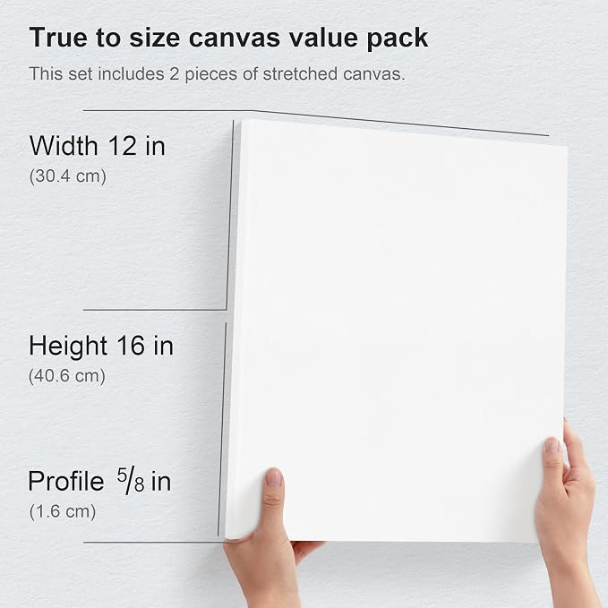 PHOENIX 12x16 Inch Pack of 2 Canvas - Image 2