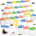 Halloscume 36 Pcs Insert Bug Viewer by Halloscume