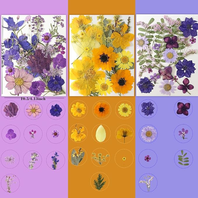 180Pcs Dried Pressed Flowers, Natural Dried Flowers Bulk - Image 2