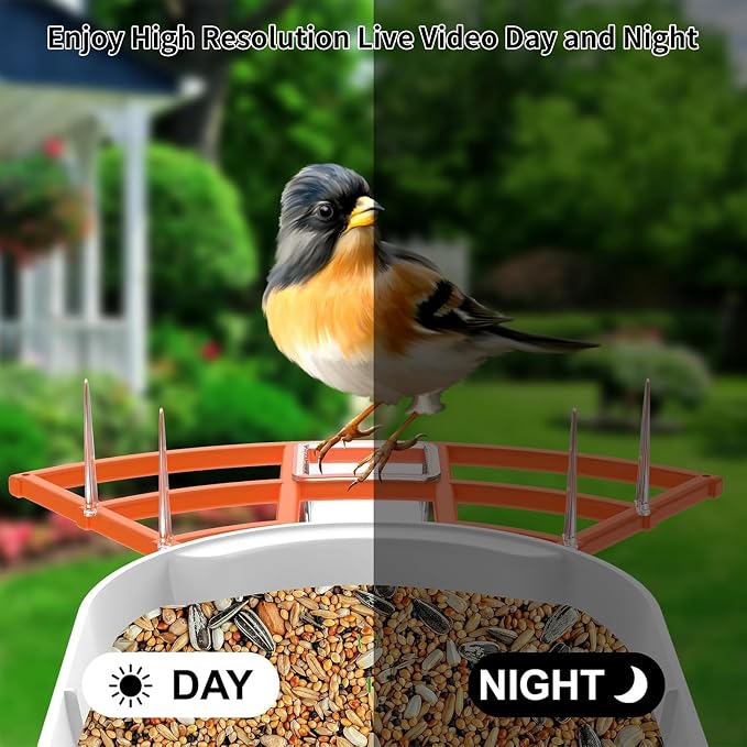Bird Feeder with Camera, AI Identify Birds Species, Smart Birds Camera with - Image 5