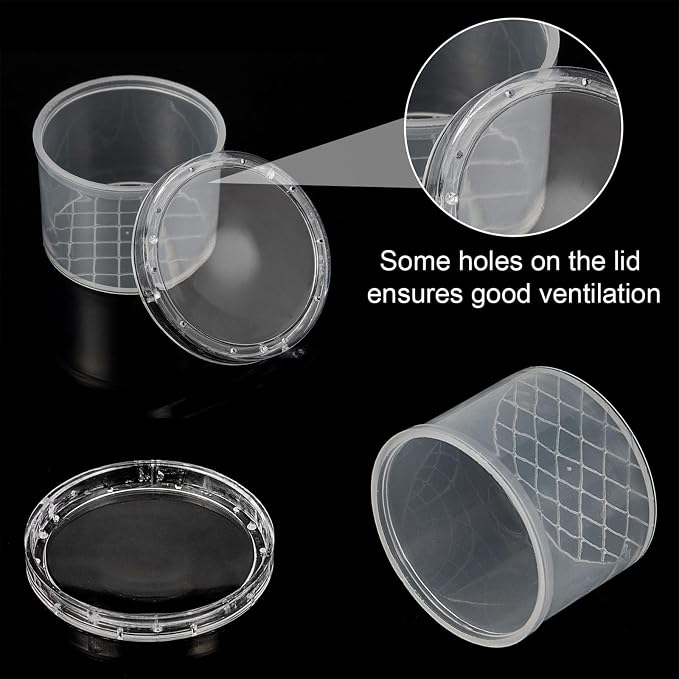 Sumind 20 Pcs Critter Keeper Bug Magnifier Insect Container - Image 3