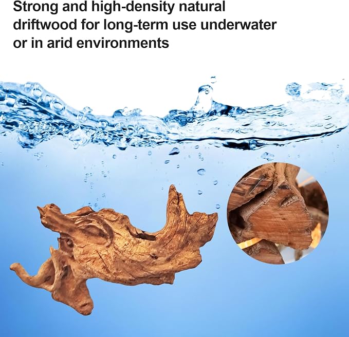 Natural Driftwood Decor for Aquarium Decorations Reptile Tank Accessories - Image 4