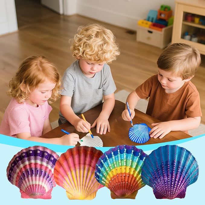 10Pcs 4-5“ Sea Shells Natural Scallop - Image 3
