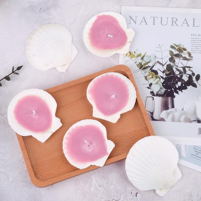 30PCS Scallop Shells for Crafts 2''-3'' Natural White Large Shells Decoration - Image 2