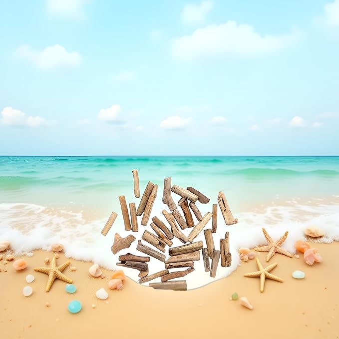 20 Pcs Wood Natural Driftwood Pieces Branch Slices Craft Sticks Beach Decor - Image 5