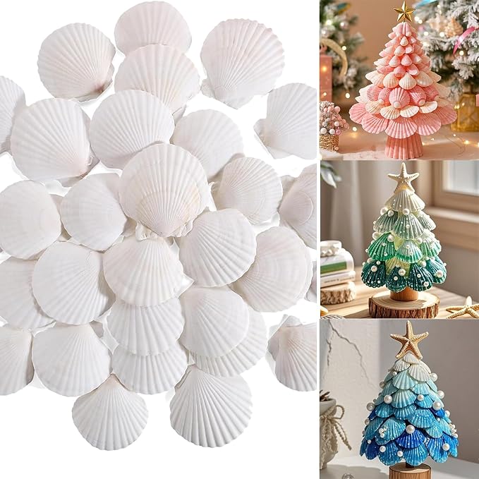 50 PCS Natural Sea Shells 1.6" to 2" White Scallop Shells - Image 4