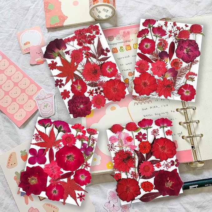 150PCS Red Dried Pressed Flowers - Image 2