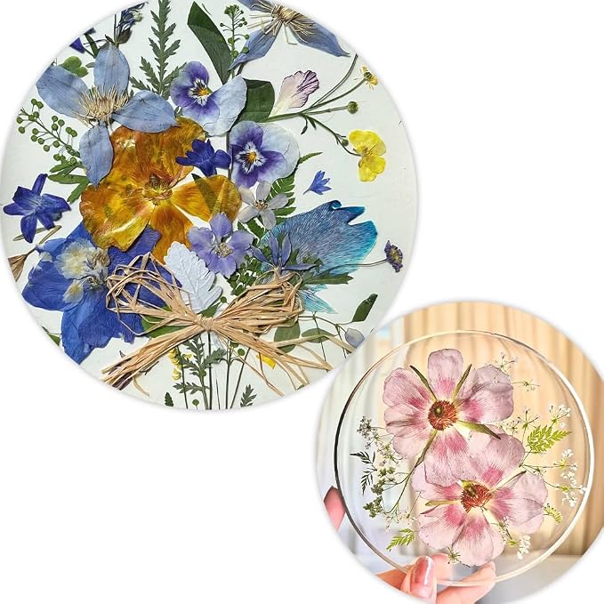 80Pcs Pressed Flowers, Dried Flowers Natural Pressed Flowers Bulk - Image 5