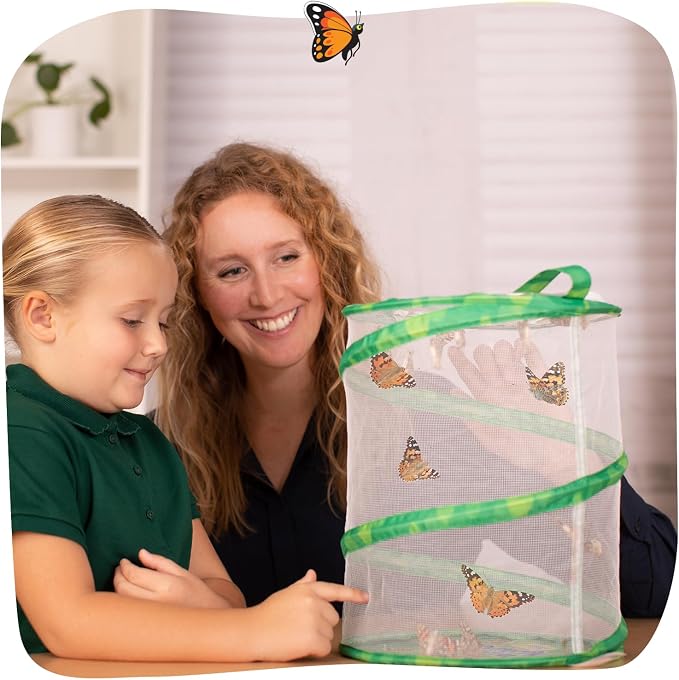 Insect Lore Raise and Release Butterfly Garden Kit – Caterpillar Habitat - Image 8