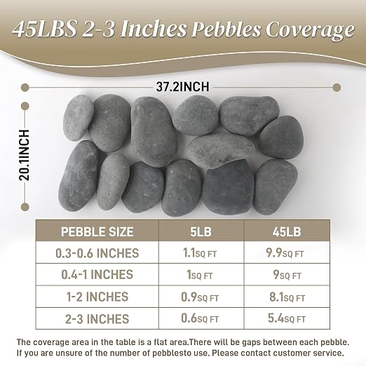Quibbay 45 LB Mexican Beach Pebbles, 2-3 Inch Natural River Rocks, Premium - Image 6
