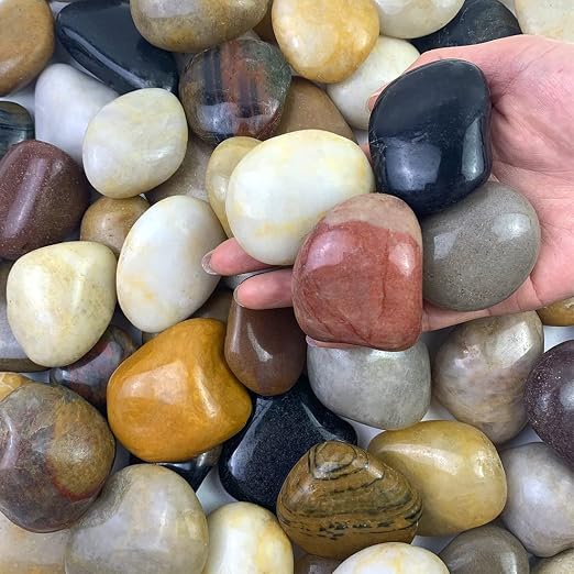 FANTIAN 10 lbs Pebbles for Indoor Plants, 2-3 inch Large River Rocks Decorative by FANTIAN-GardeningMakesLifeBetter